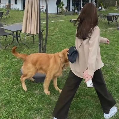 他们不再老去
